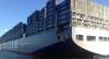 Ϥؕrg513Ӣb䴬_w݆¡CMA CGM Kerguelen̖_ϰDԓϰD500ˮλSCT5ԓλͼb䴬
