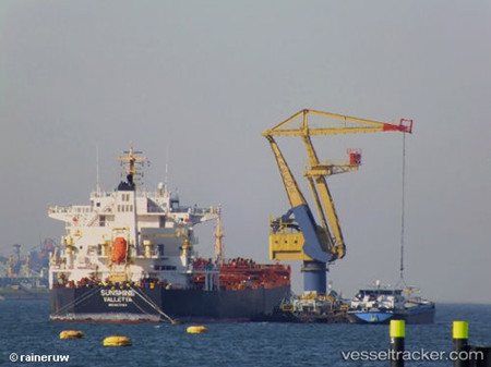 ST Shipping租用戴安娜航運旗下散貨船
