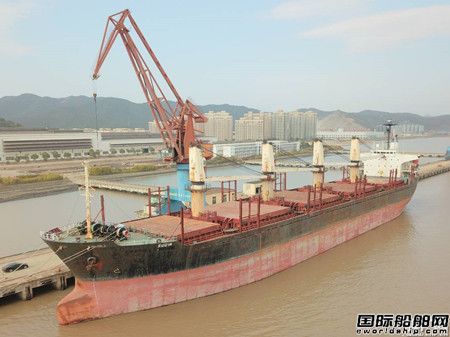 21年船齡散貨船遭“哄搶”二手船市場火熱