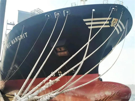 上海中遠海運重工完成“MSC MARGRIT”輪脫硫改裝獲船東贊譽