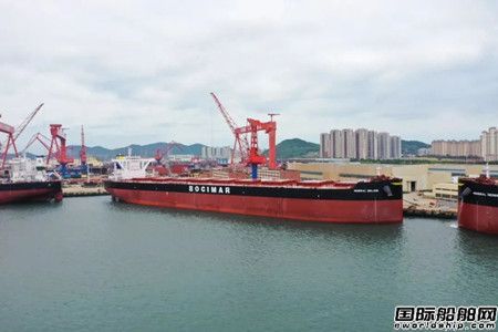 總計24艘！北海造船再獲CMB兩艘氨燃料散貨船訂單