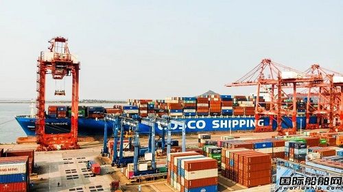 中遠海運港口發布2024年一季度業績