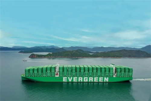擴圈！地中海航運可能是2024年最大“贏家”